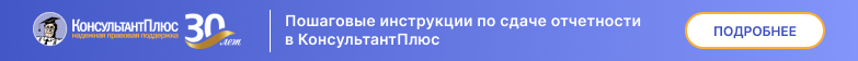 Пошаговые инструкции по сдаче отчетности в КонсультантПлюс